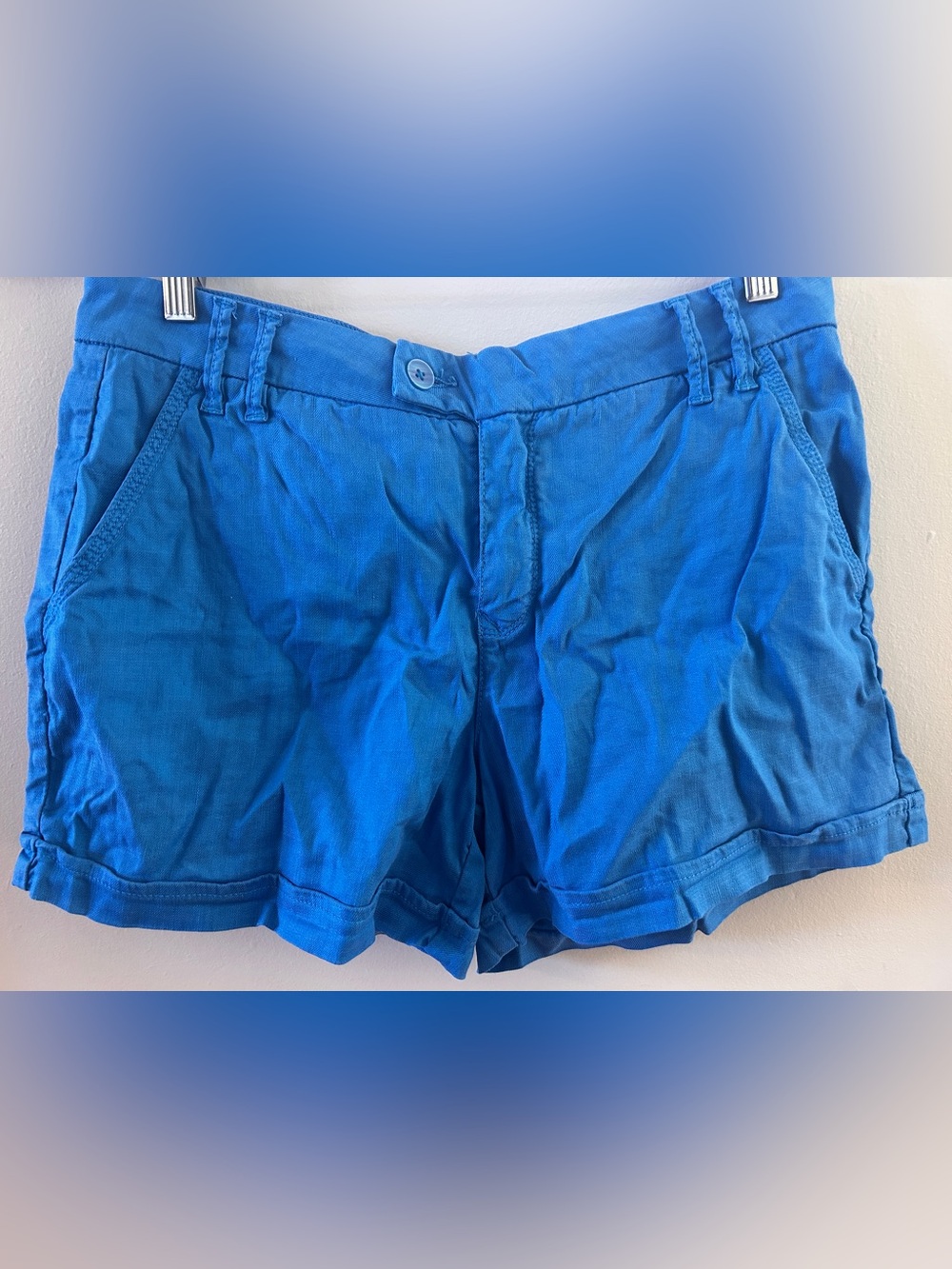 Level 99 Anthropologie Linen Blend Shorts